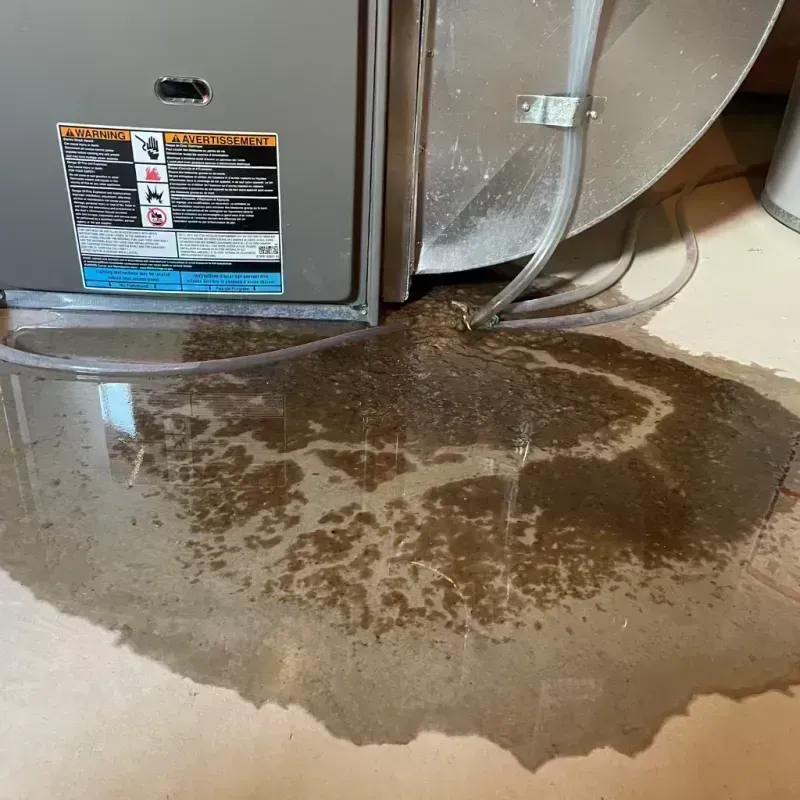 Appliance Leak Cleanup in Hanahan, SC